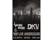 Live Concert  - Live Underground