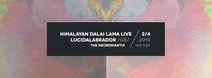 Himalayan Dalai Lama LIVE + Lucidalabrador /UK/ support: The