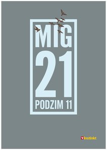 MIG 21