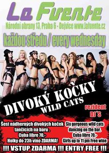 Divoké kočky, DJ Aleš Matoušek
